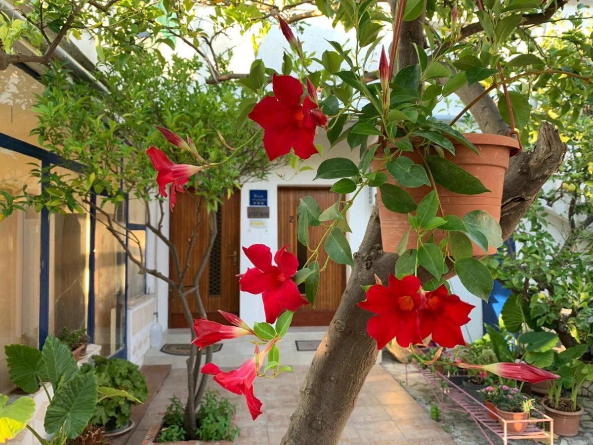 Danijela Apartment Mali Losinj Bagian luar foto